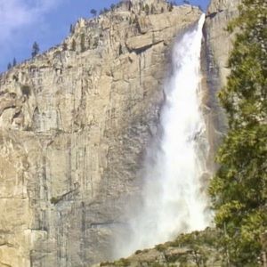 Meet your Posher, Charles